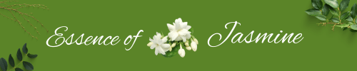 jasmine banner image here