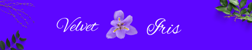 iris banner image here