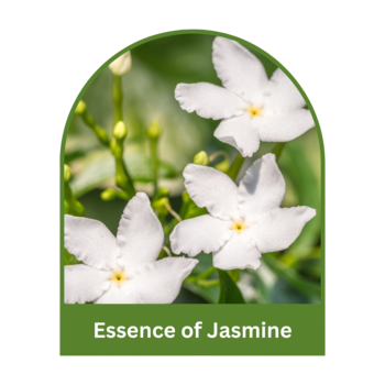 Jasmine Soap